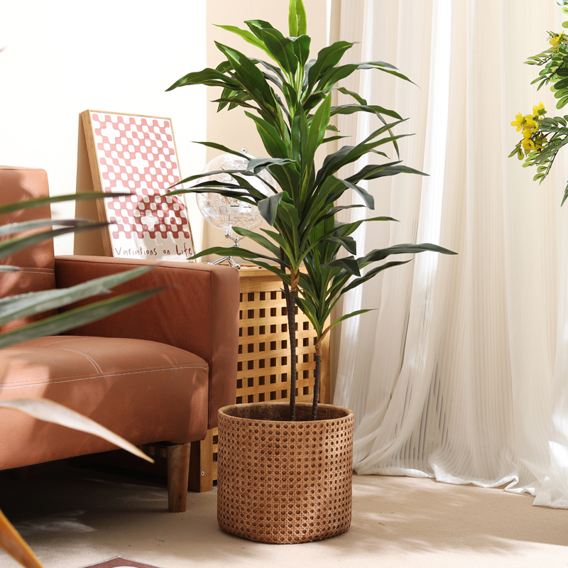 Móveis para apartamentos peque - Furniture Paradise & Hardware Ghaziabad avaliação e preço